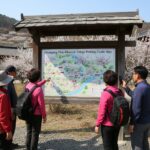 광양 매화마을 주차장 이용 정보와 주변 꽃길 광양 매화마을 주차장 위치 안내 지도