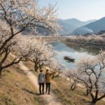 하동 흥룡마을 섬진강변 매화 풍경