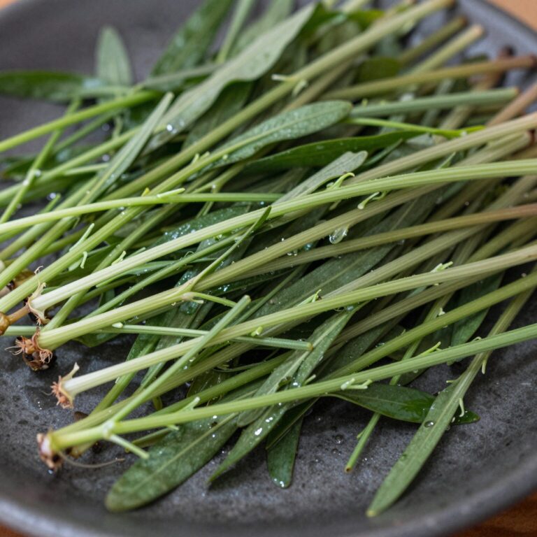 깨끗이 씻어 물기를 뺀 겨울초 나물