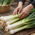 얼갈이 겉절이와 함께 담그는 겨울 쪽파김치 손질 후 깨끗해진 통통한 겨울 쪽파