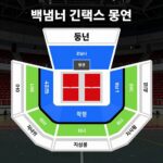 백넘버 첫 내한 공연 티켓팅과 공연 정보 백넘버 킨텍스 공연장 스탠딩과 지정석 구역을 보여주는 좌석배치도