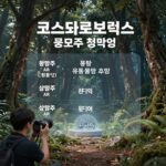 코스모로보틱스 공모주 청약 일정과 상장 후 유통 물량 흐름도