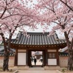 포항 도암사 입구를 화사하게 장식한 분홍색 겹벚꽃 나무와 전통 사찰 한옥 지붕