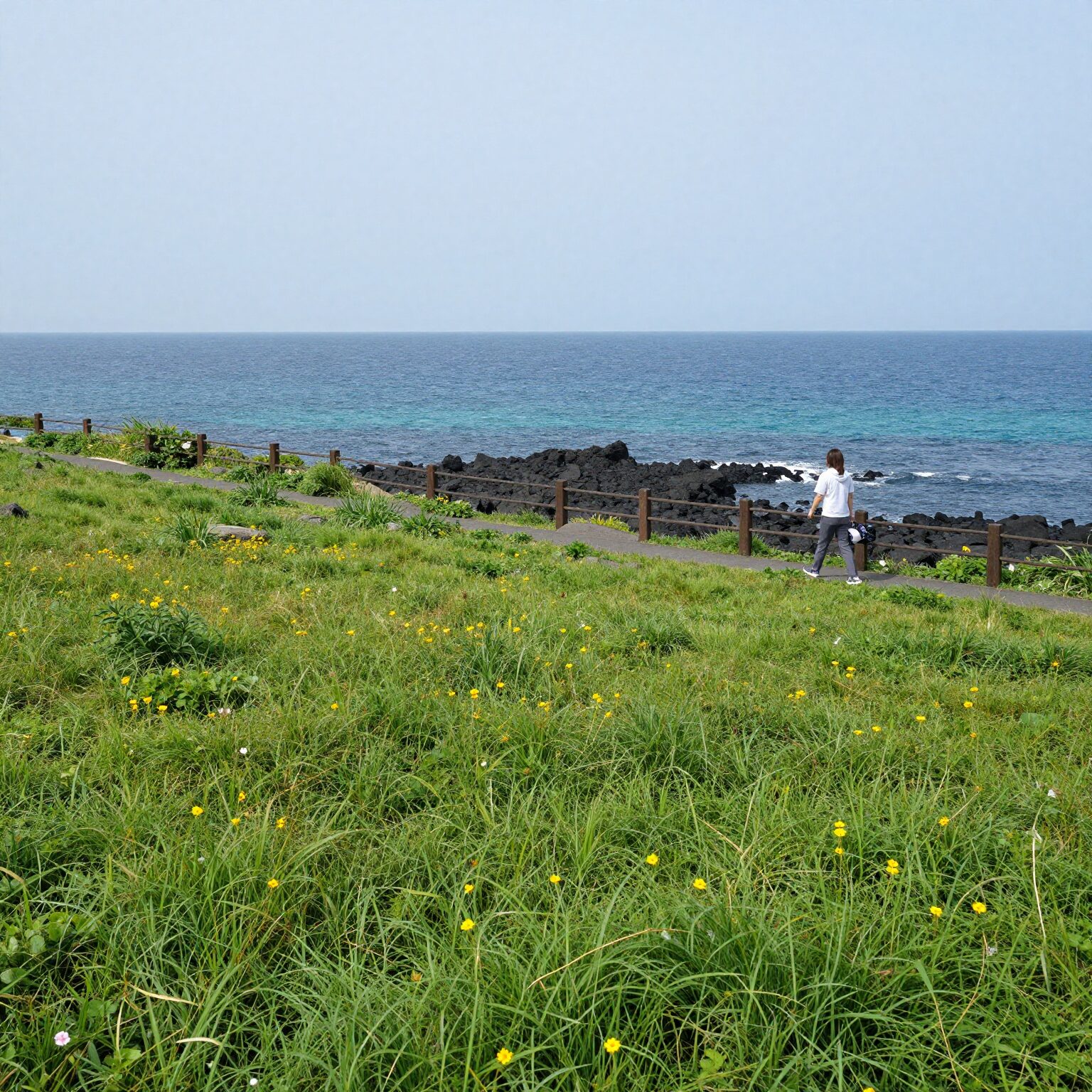 제주 가파도 청보리밭과 바다 배경의 전망대 풍경