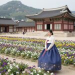 4월 봄꽃 여행 명소 추천 공주 금강사 남해 유채꽃 공주 금강사 4월 꽃잔디와 사찰 전경