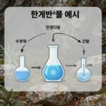 한계반응물 완벽 정리 한계반응물 예시 그림 수소와 산소 반응에서 생성물 계산하는 과정