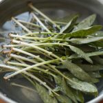 데쳐서 찬물에 헹군 후 물기를 뺀 개두릅 나물