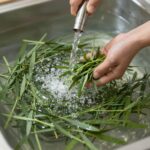 미나리 손질법과 세척 보관 요령 미나리를 식초 소금물에 담가 세척하는 과정