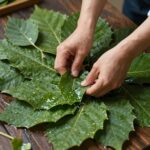 제피잎장아찌 맛있게 담그는 법 물에 깨끗이 씻어 물기를 뺀 제피잎 준비 과정