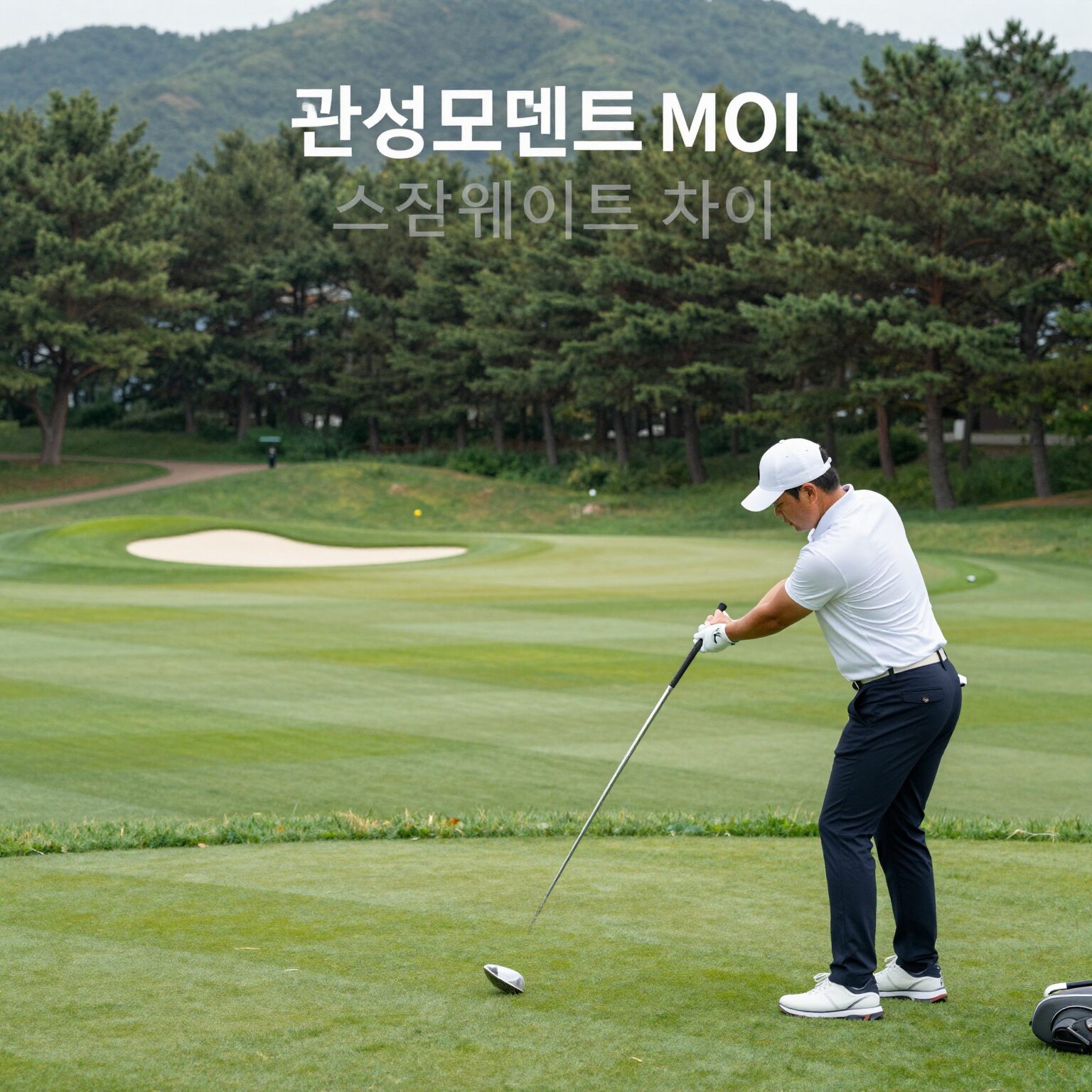골프 관성모멘트 MOI 스윙웨이트 차이 비교