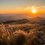 황매산 정상에서 바라본 억새와 일몰이 어우러진 풍경