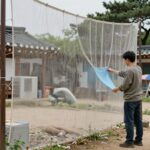 방충망 교체비용 비교 사진