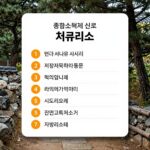 종합소득세 서류 준비 이것만 챙기세요 종합소득세 신고에 필요한 서류 목록을 정리한 체크리스트 이미지