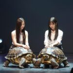 히든싱어8 터틀맨 감동 특집 히든싱어8 터틀맨 특집 무대에서 거북이 멤버 금비와 지이가 고인을 추억하는 모습