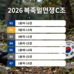 2026 북중미 월드컵 C조 경기일정 표