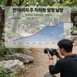현대차 파업일정 주가 영향 현대차 주가 차트와 파업 일정 비교 분석