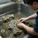 비파 효소 만들기 실패 없는 방법 비파열매 세척과 손질 과정 사진