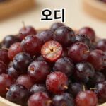 오디 열매의 다양한 효능과 항산화 성분이 풍부한 오디 열매 사진