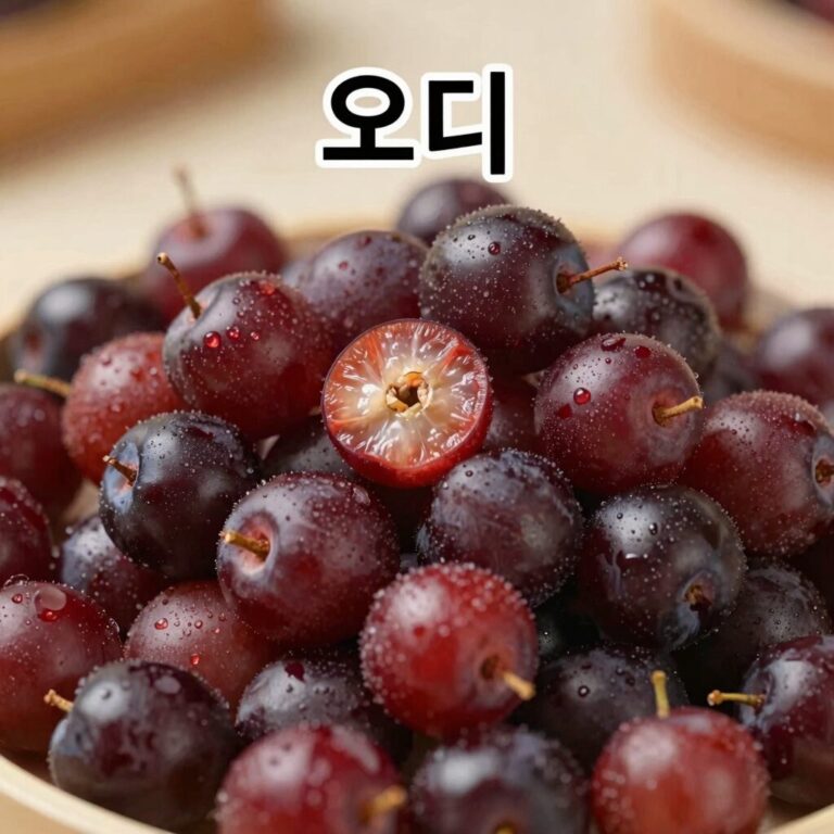 오디 열매의 다양한 효능과 항산화 성분이 풍부한 오디 열매 사진