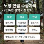 노령연금 수급자격 2026 완벽 정리 노령연금 수급자격 2026년 감액 기준 완화와 환급 정보 인포그래픽