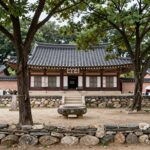 태종사 수국 군락지 전경