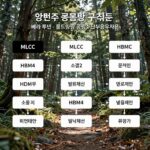 베라 루빈 관련주 2026 핵심 정리 베라 루빈 관련주 공급망 구조도, MLCC HBM4 소캠2 밸류체인