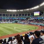 2025 KBO 와일드카드 결정전 경기장 전경과 응원하는 팬들의 모습