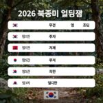 2026 북중미 월드컵 한국 경기 일정표 이미지