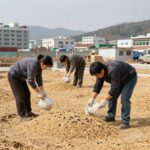 권연벌레 원인 제거로 확실히 없애는 방법 권연벌레 원인 제거를 위해 오래된 곡물을 점검하고 폐기하는 모습