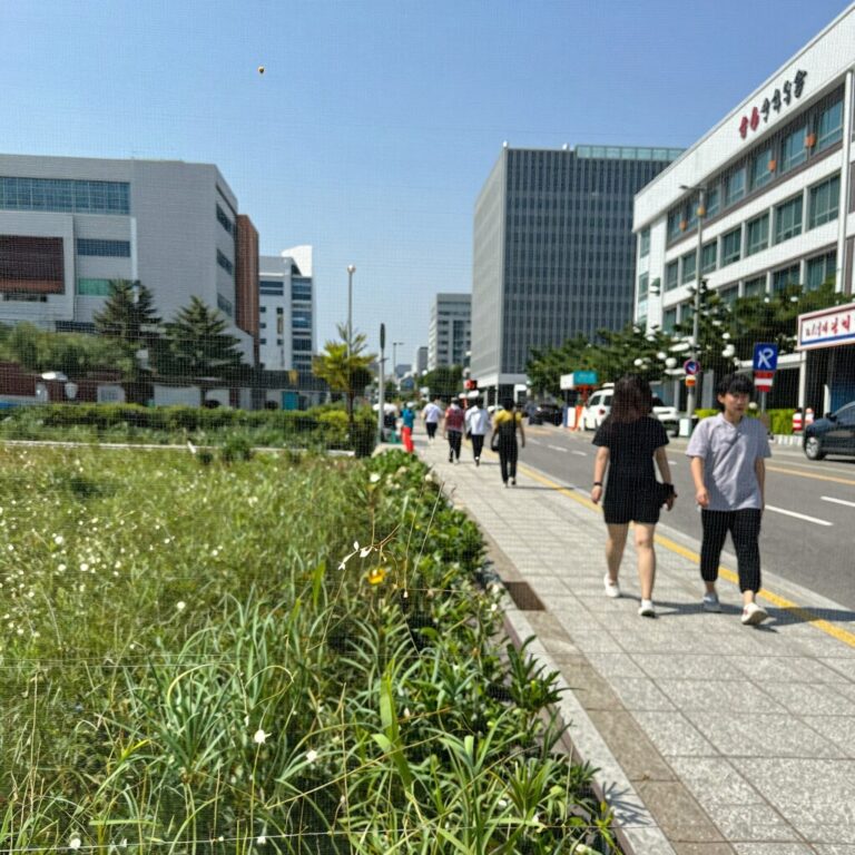 방충망에 붙어 있는 노린재 알과 T자 난파기 무늬