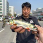 갈치 루어대 리좀 디그라블 스핀과 텐야 제품 이미지