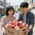 햇사레 복숭아 말랑이 직판장 후기 햇사레 복숭아 말랑이와 B급 가정용 복숭아 박스