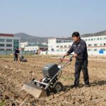 엔진 예초기 4행정 장점 단점 추천 4행정 엔진 예초기 제초 작업 장면
