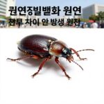권연침벌레 집에서 퇴치하는 방법 권연침벌레와 권연벌레의 차이 및 발생 원인 설명 이미지