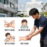 벌 쏘였을때 응급 처치와 꼭 피해야 할 행동 벌에 쏘였을때 침 제거와 냉찜질 등 응급 처치 방법을 단계별로 그림으로 설명