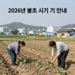2026년 벌초 시기 적기와 준비 2026년 벌초 시기 적기 안내 이미지