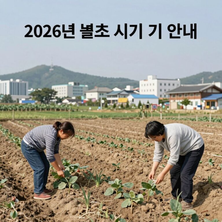 2026년 벌초 시기 적기 안내 이미지