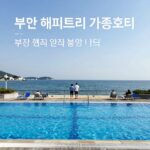 부안 수영장 펜션 내돈내산 추천 부안 해피트리 가족호텔 수영장에서 바라본 바다 전경과 썬베드