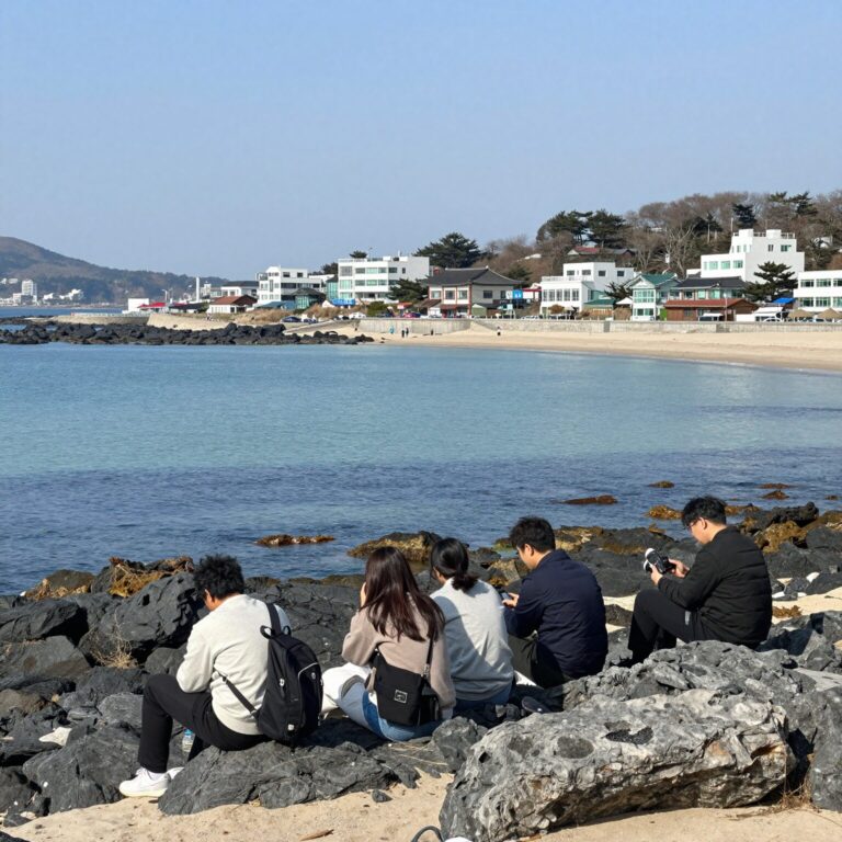 닥터 섬보이 촬영지 거제 가조도 해안 풍경