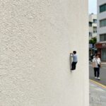 먼지다듬이 퇴치법 습도와 청소로 해결 먼지다듬이가 벽지 틈에 붙어 있는 모습을 확대한 사진으로, 작은 크기와 색상을 확인할 수 있습니다.