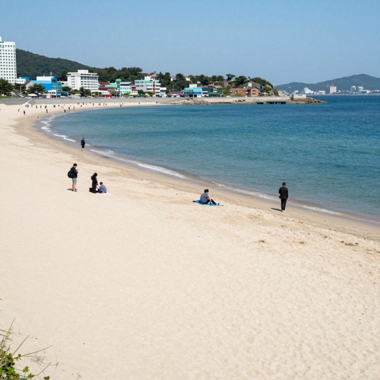 강릉 강문 해수욕장의 넓은 백사장과 푸른 바다