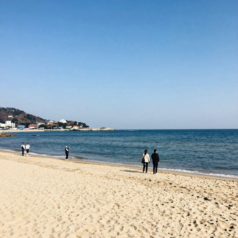 경주 감포 고아라 해변의 맑은 바다와 모래사장 전경