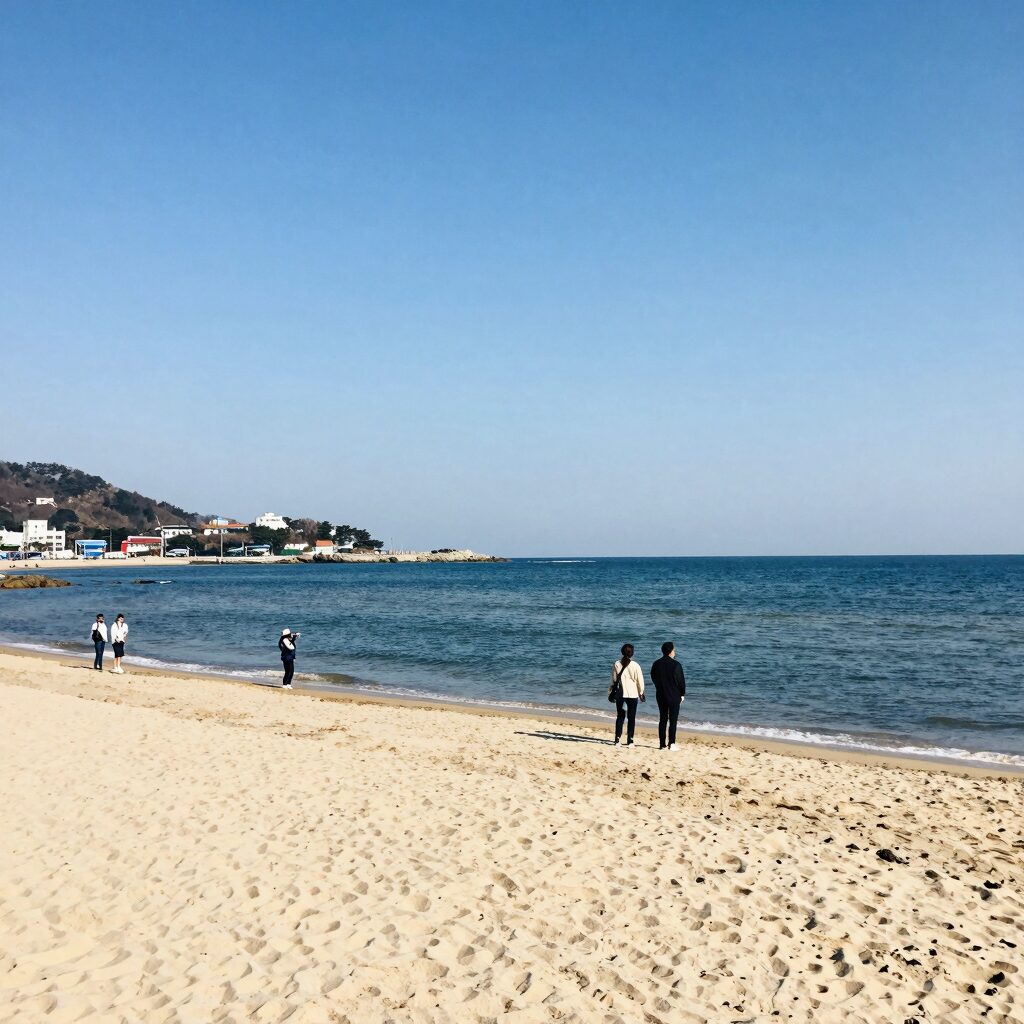 경주 감포 고아라 해변의 맑은 바다와 모래사장 전경