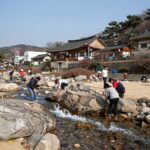 함양 계곡 추천 자연 속 물놀이 명소 함양 화림동계곡 너럭바위와 맑은 물줄기