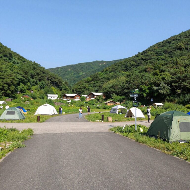 함양 용추 오토캠핑장 사이트에서 바라본 용추계곡 전경