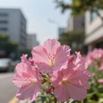 여름 정원의 화려한 주인공 부용화 꽃 완벽 정리 아침 햇살을 받아 반짝이는 연분홍 부용화 꽃의 클로즈업 사진