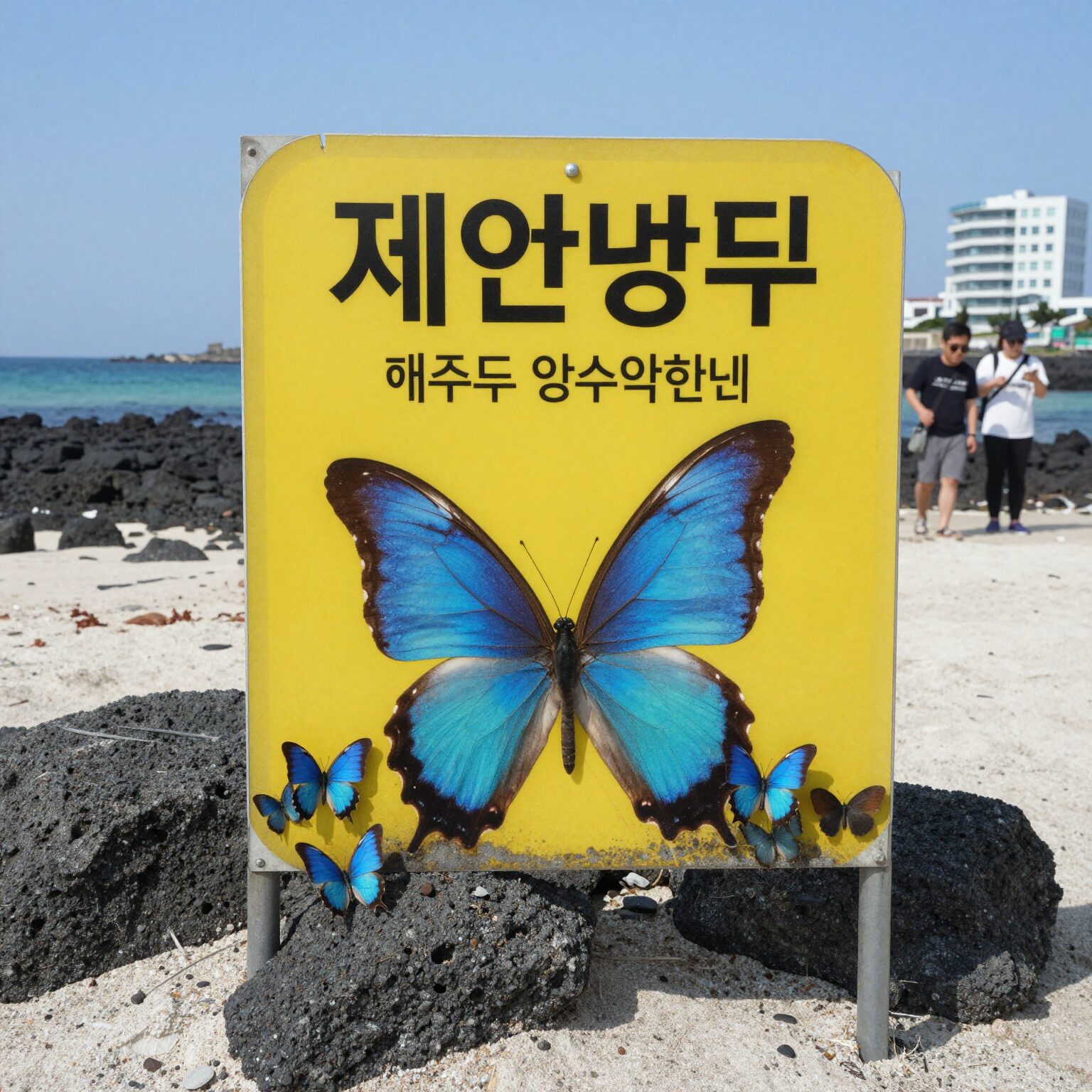 제주도 해수욕장에서 발견된 푸른우산관해파리 모습과 주의 안내판