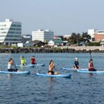 제주도 서귀포 텐타임즈에서 스킨스쿠버와 패들보드 요가를 체험하는 사람들의 모습