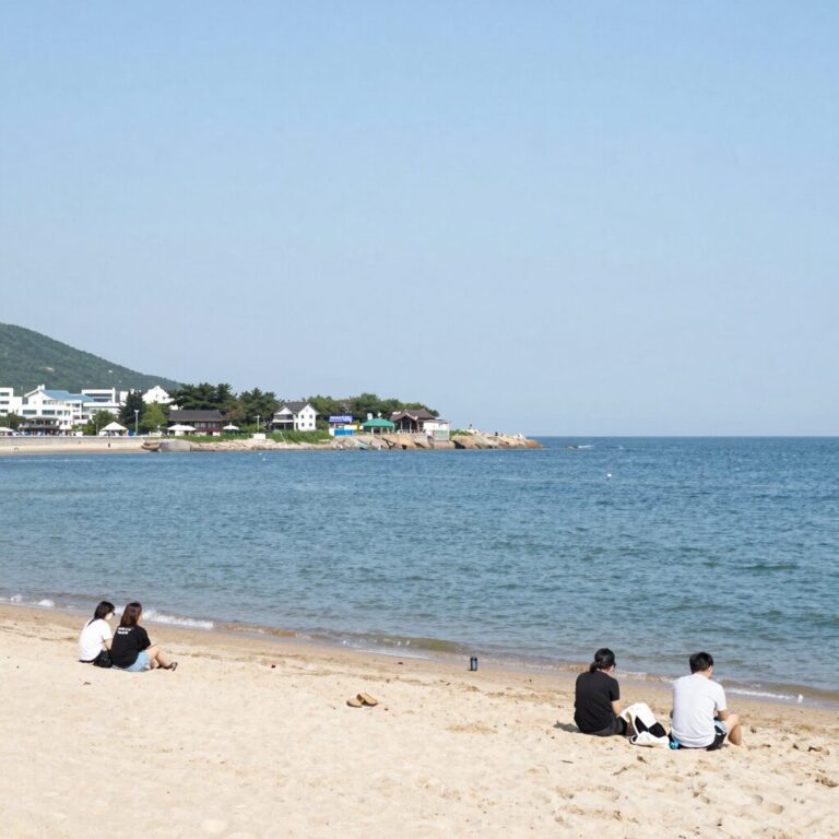 영덕 메르센트펜션 해수수영장 전경