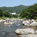 2026 여름 제천 계곡 완벽 추천 능강 송계 덕동 제천 능강계곡 여름 물놀이 풍경